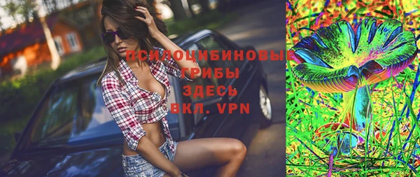 гидра Медногорск