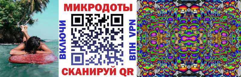 наркотики  Терек  Псилоцибиновые грибы Psilocybine cubensis 